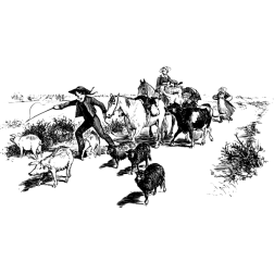 LivestockToMarket