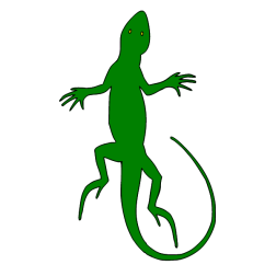 Lizard I