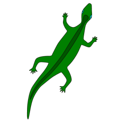 Lizard XI