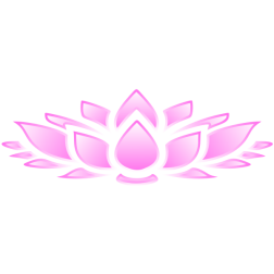 LotusFlower3