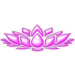 LotusFlower4