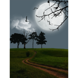 Lunar Trail