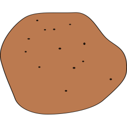 potato