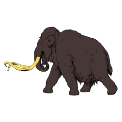Mammoth III