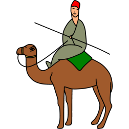Man on a camel I