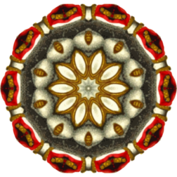 Mandala11