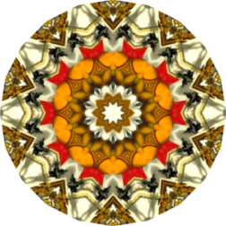 Mandala16