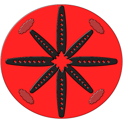Mandala5c