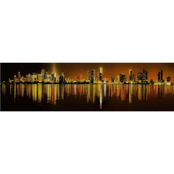 Miami Night Skyline