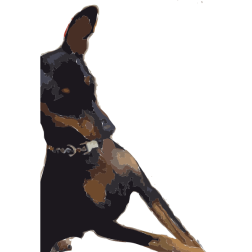 MinPin Puppy 1 2016052128