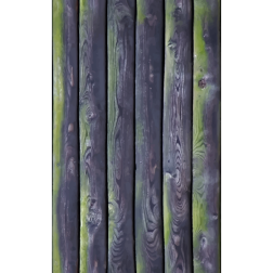 MossyPlanks