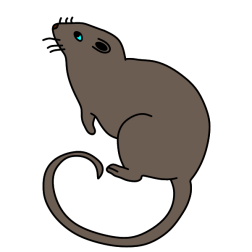 Mouse 6