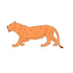 Old lioness