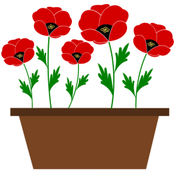 OldifluffPoppies