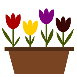 OldifluffPottedTulips