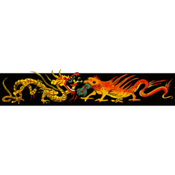 OpposedDragons