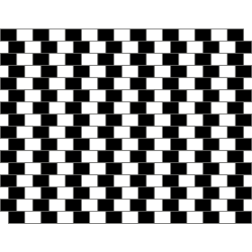 OpticalIllusion2