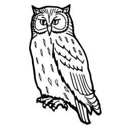 Owl VI