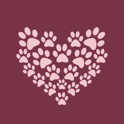 Paw prints vector image