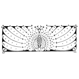 Peacock VIII