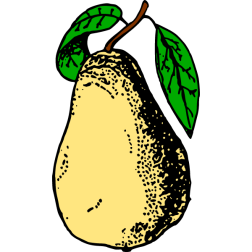Pear I