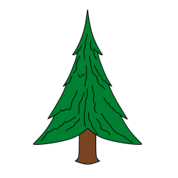 Pine 10