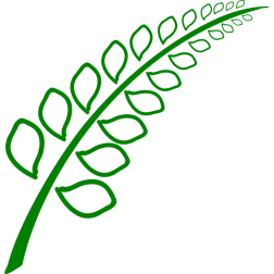 Plant 2015072759
