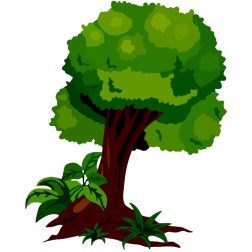 Plant4