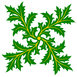 Plant 4