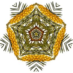 PlantDesign1