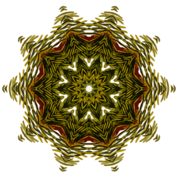 PlantDesign11