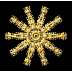 PlantDesign20