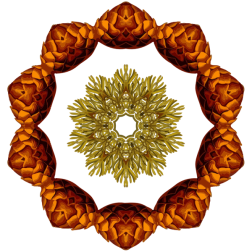 PlantDesign21