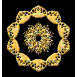 PlantDesign25
