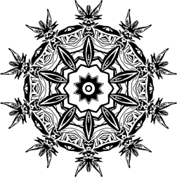 PlantDesign27