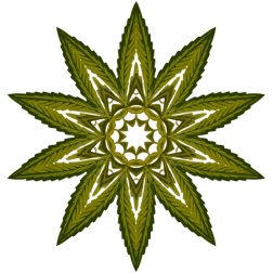 PlantDesign36
