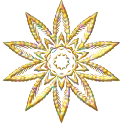 Plant design-1627348971
