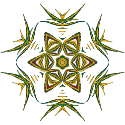 PlantDesign43