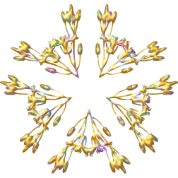 PlantDesign49