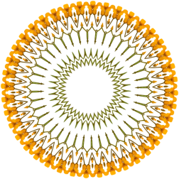 PlantDesign51