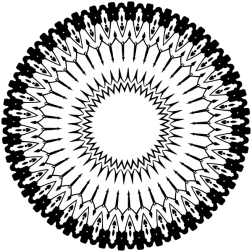 PlantDesign52