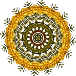 PlantDesign6