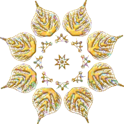 PlantDesign69