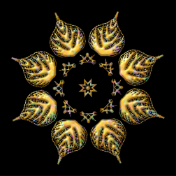 PlantDesign70