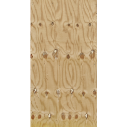 Plywood