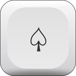 PokerDieAce