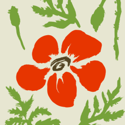 Poppies