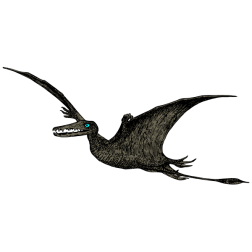 Pterodactyl 3