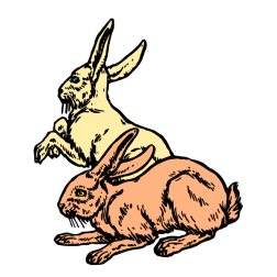 Rabbit IV