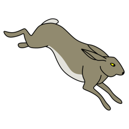 Rabbit I